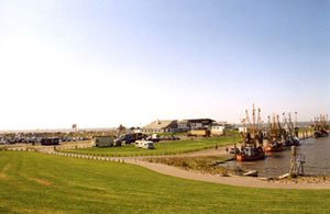 Hafen in Dorum-Neufeld mit Kuttern und Nationalpark-Haus